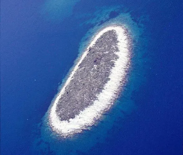 White Pearl - New Daire *