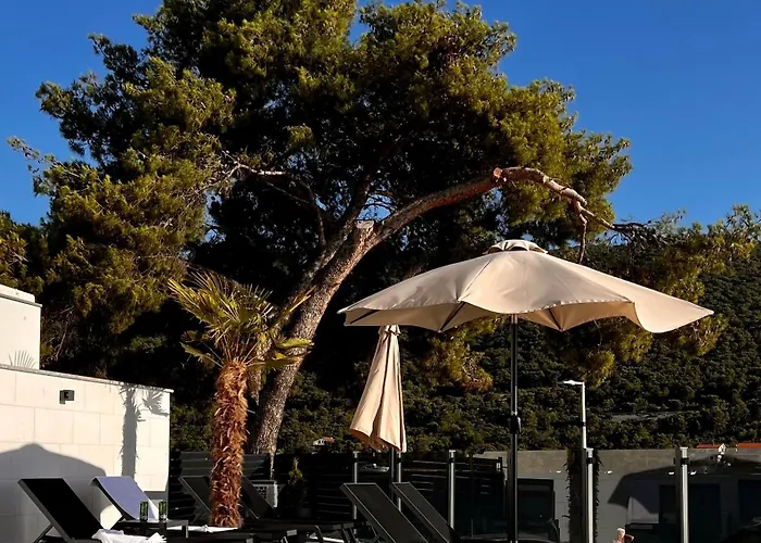 White Pearl - New Daire